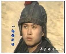 杨家将的人物关系图