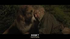野性的呼唤2020中字